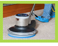 Carpet Steam Cleaners