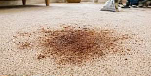 Carpet before professional cleaning