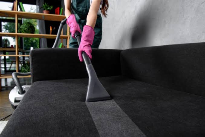 Professional upholstery cleaning service
